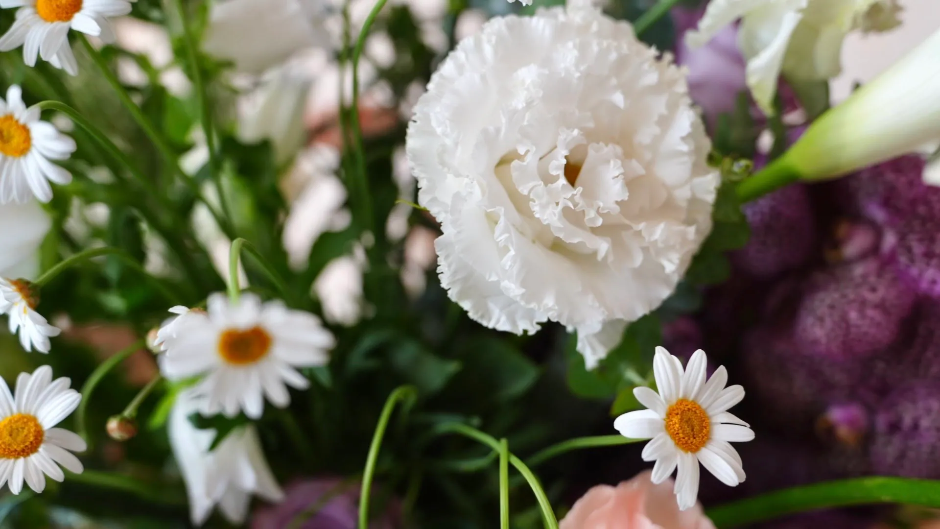 2511 FLOWER 花材
